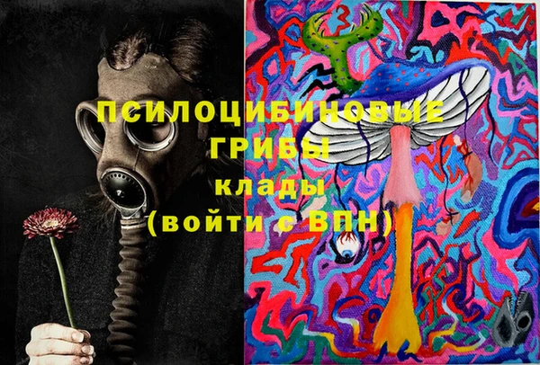 стаф Алексеевка