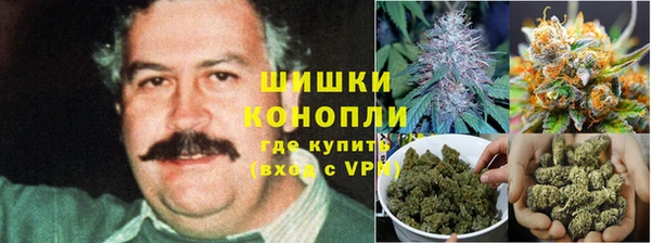 круглые Алзамай