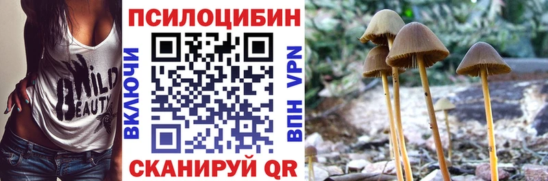 Псилоцибиновые грибы Cubensis купить цена hydra Димитровград